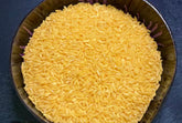 Riz Shella