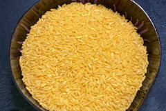 Riz Shella